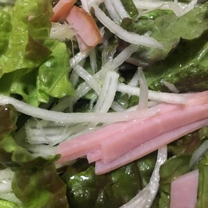 ゴマドレッシングで食べる…野菜たっぷり大根サラダ